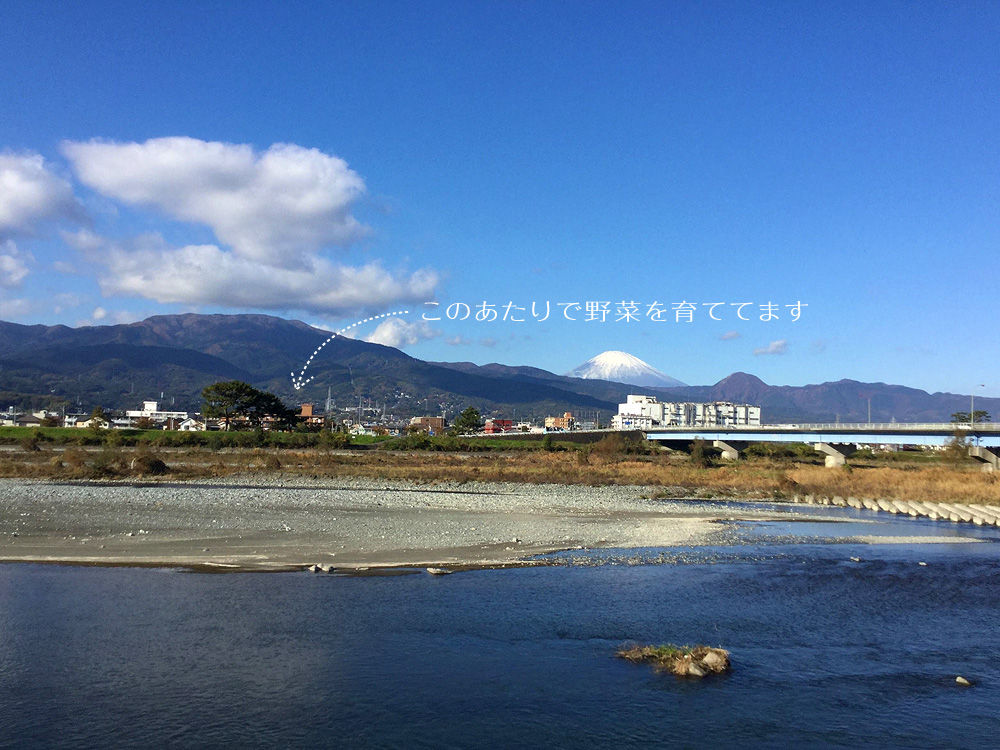 Shukuko農園について